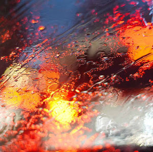 Meet your Posher, Sadie